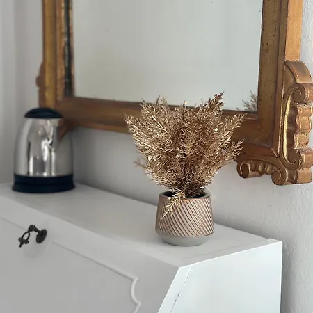 בית הארחה Bologna Centrale Rooms בולוניה